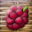 The Collector Of Berries icon